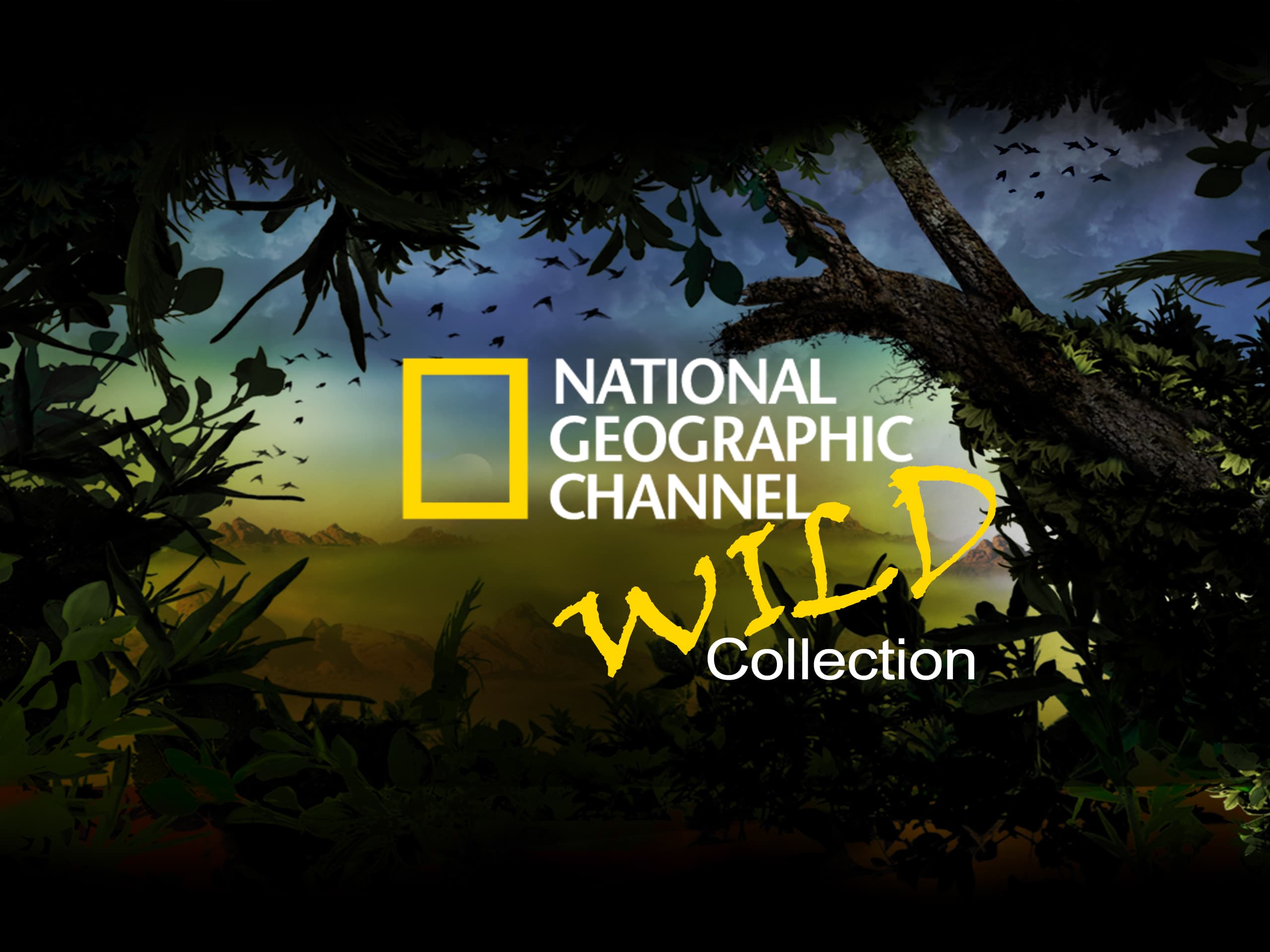 National Geographic Wild collection title image
